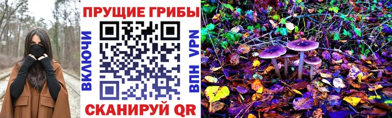 Галлюциногенные грибы ЛСД  Весьегонск 